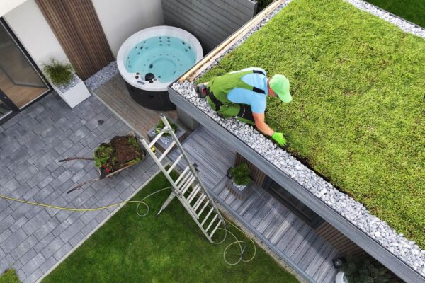 Roofer working on a residential green roof